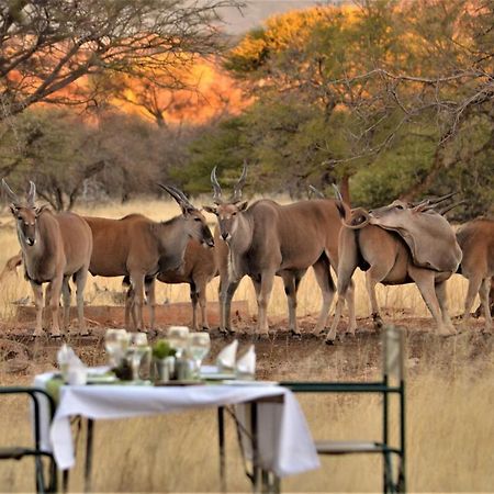Ohange Namibia Lodge Otavi Eksteriør bilde